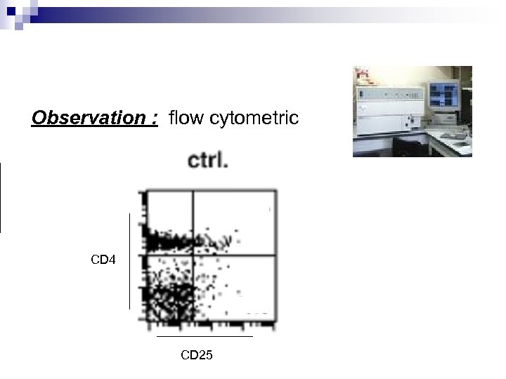 Observation : flow cytometric CD 4 CD 25 