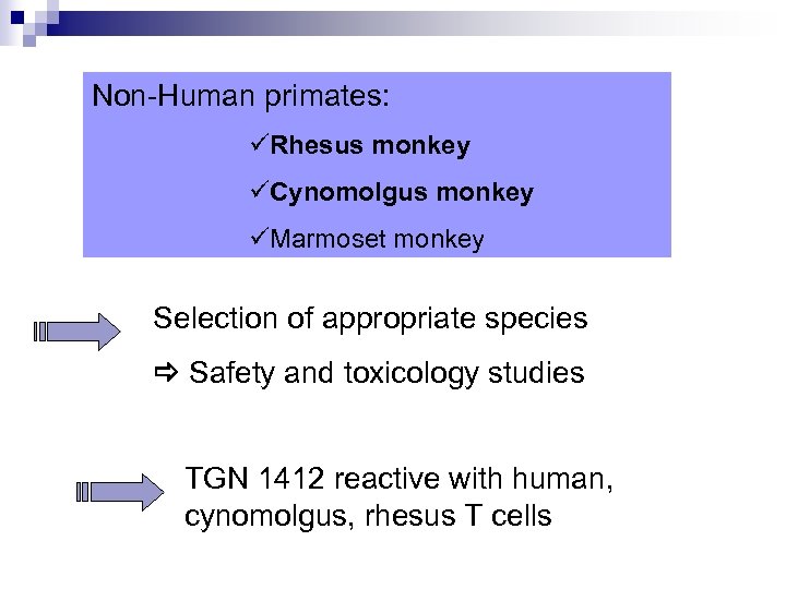 Non-Human primates: üRhesus monkey üCynomolgus monkey üMarmoset monkey Selection of appropriate species Safety and