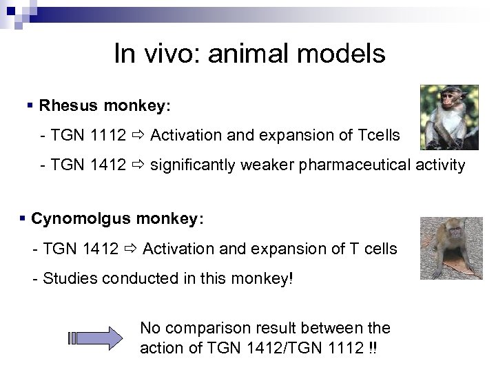  In vivo: animal models § Rhesus monkey: - TGN 1112 Activation and expansion