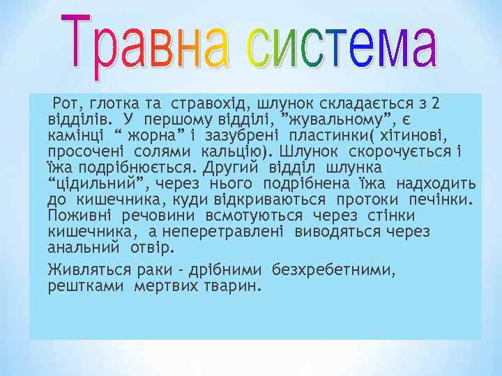 Рот, глотка та стравохід, шлунок складається з 2 відділів. У першому відділі, ”жувальному”, є