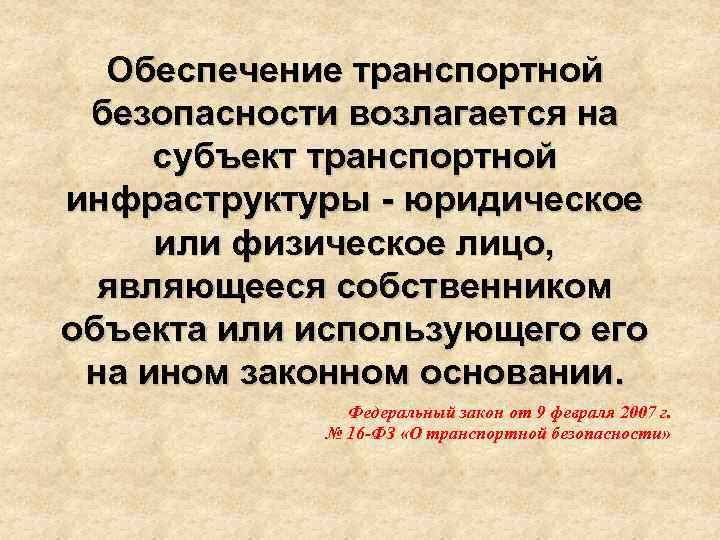 Обеспечение транспортной безопасности возлагается на субъект транспортной инфраструктуры - юридическое или физическое лицо, являющееся
