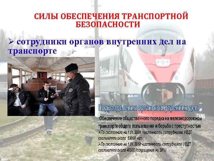 СИЛЫ ОБЕСПЕЧЕНИЯ ТРАНСПОРТНОЙ БЕЗОПАСНОСТИ сотрудники органов внутренних дел на транспорте 