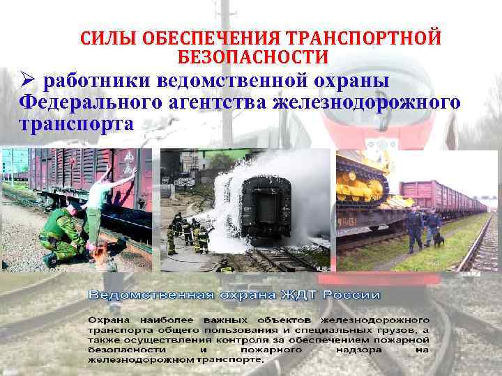 СИЛЫ ОБЕСПЕЧЕНИЯ ТРАНСПОРТНОЙ БЕЗОПАСНОСТИ работники ведомственной охраны Федерального агентства железнодорожного транспорта 