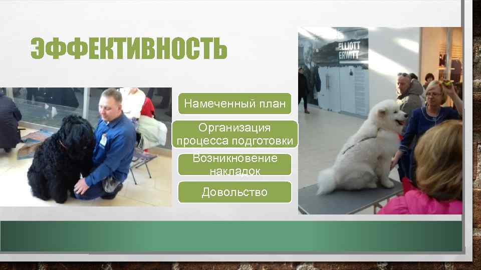 ЭФФЕКТИВНОСТЬ Намеченный план Организация процесса подготовки Возникновение накладок Довольство 