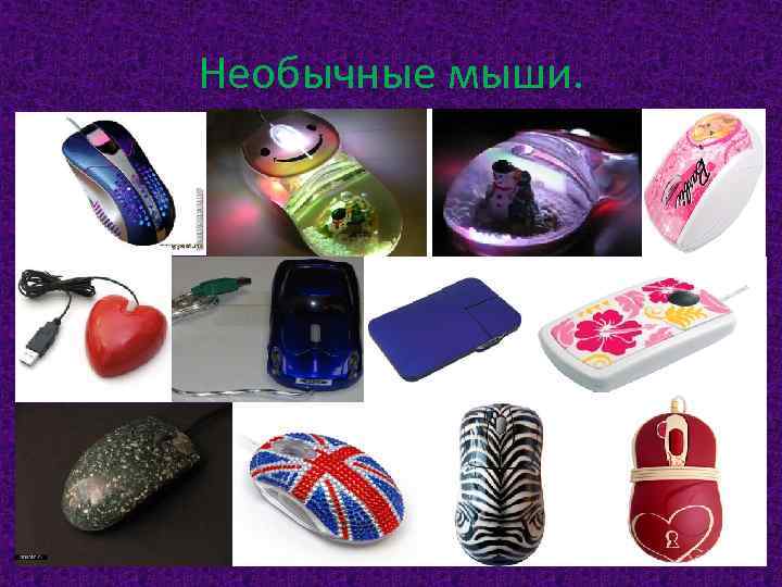 Необычные мыши. 