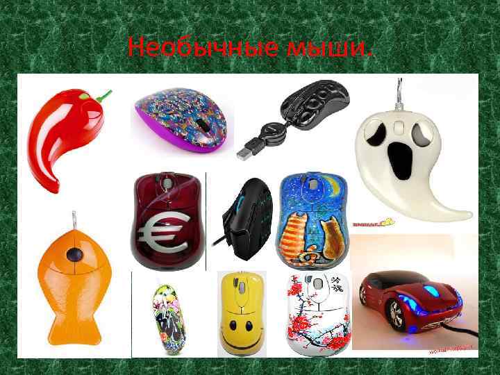 Необычные мыши. 