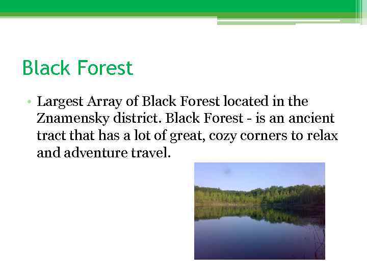 Black Forest • Largest Array of Black Forest located in the Znamensky district. Black