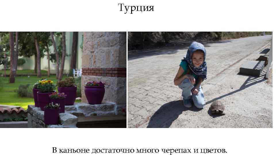 Турция В каньоне достаточно много черепах и цветов. 