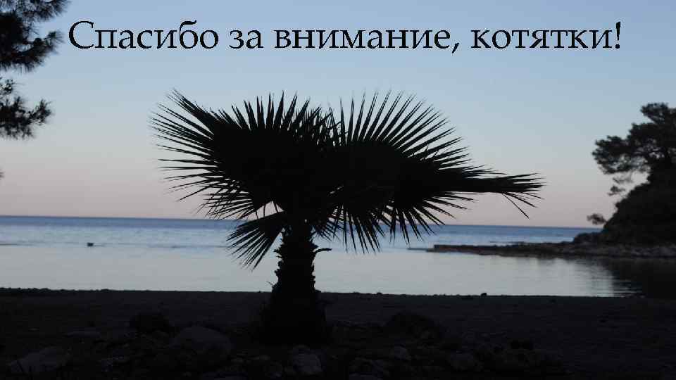 Спасибо за внимание, котятки! 