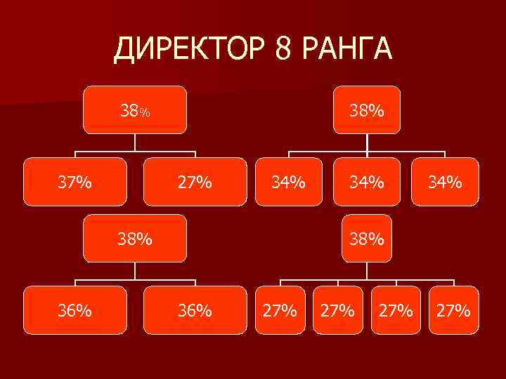 ДИРЕКТОР 8 РАНГА 38% 37% 38% 27% 34% 38% 36% 27% 27% 