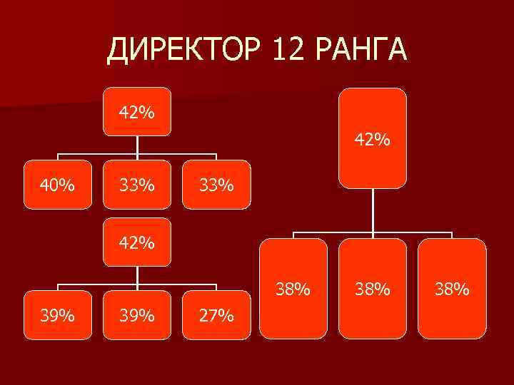 ДИРЕКТОР 12 РАНГА 42% 40% 33% 42% 38% 39% 27% 38% 