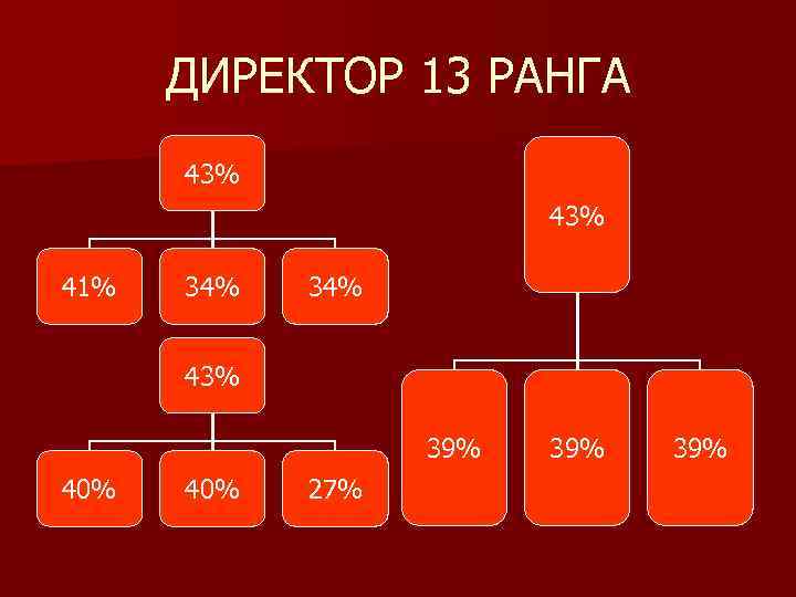 ДИРЕКТОР 13 РАНГА 43% 41% 34% 43% 39% 40% 27% 39% 