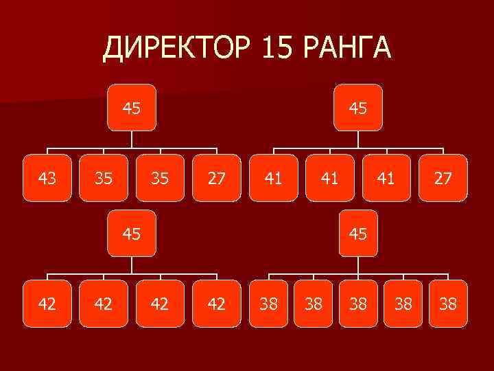 ДИРЕКТОР 15 РАНГА 45 43 35 45 35 27 41 41 45 42 42