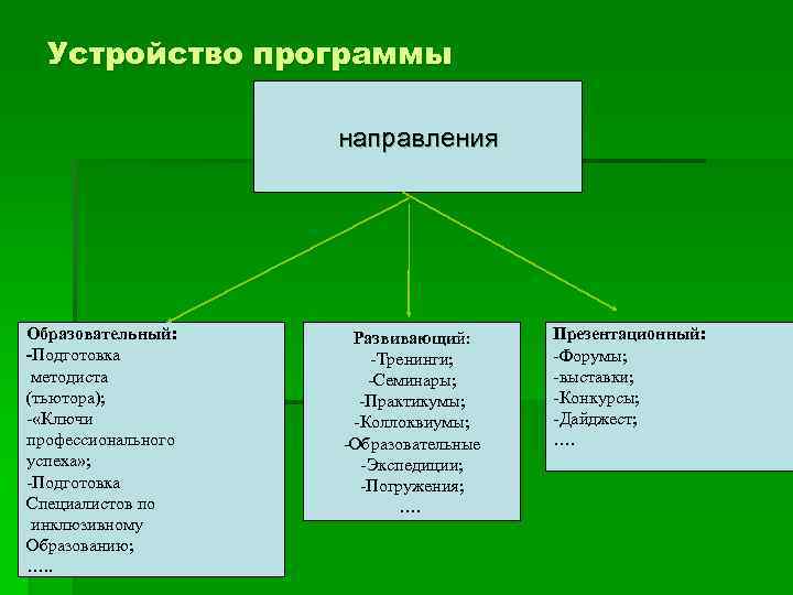 Устройство программы направления Образовательный: -Подготовка методиста (тьютора); - «Ключи профессионального успеха» ; -Подготовка Специалистов