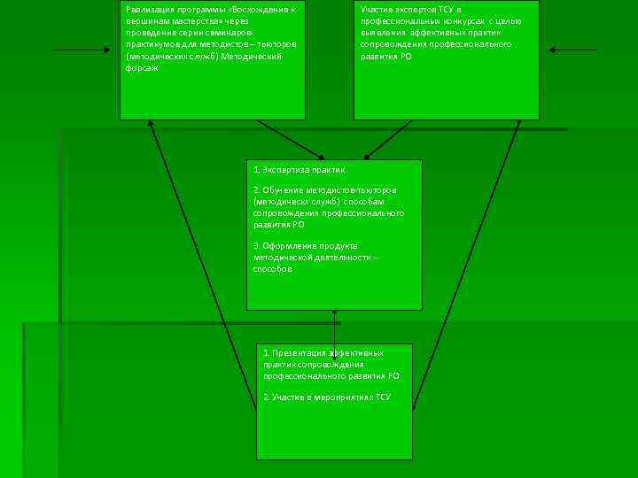 Реализация программы «Восхождение к вершинам мастерства» через проведение серии семинаровпрактикумов для методистов – тьюторов