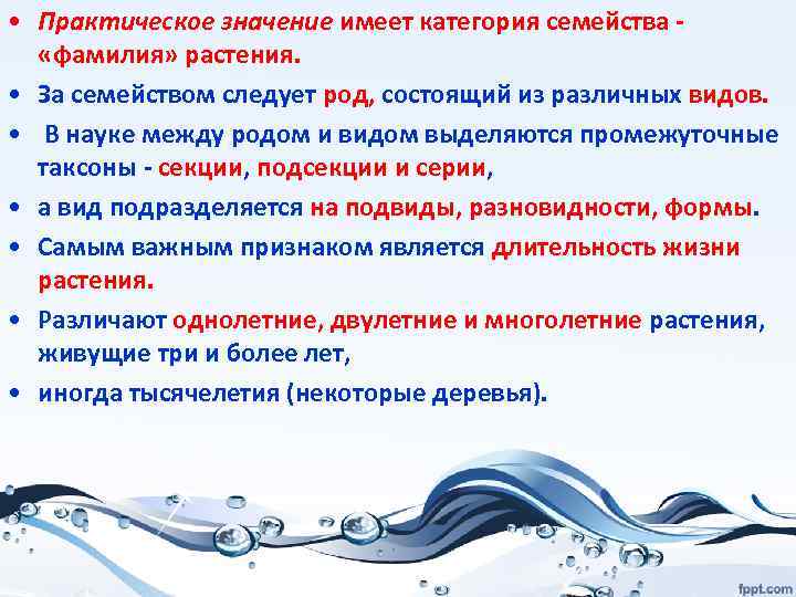  • Практическое значение имеет категория семейства - «фамилия» растения. • За семейством следует