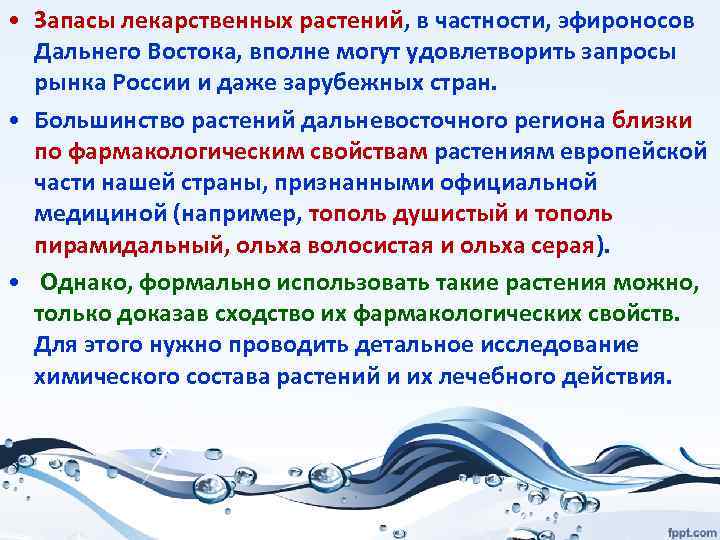  • Запасы лекарственных растений, в частности, эфироносов Дальнего Востока, вполне могут удовлетворить запросы