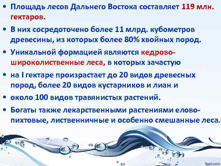  • Площадь лесов Дальнего Востока составляет 119 млн. гектаров. • В них сосредоточено