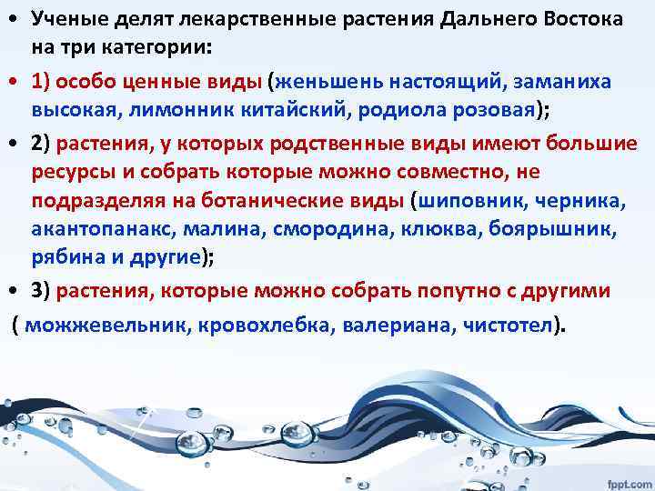  • Ученые делят лекарственные растения Дальнего Востока на три категории: • 1) особо