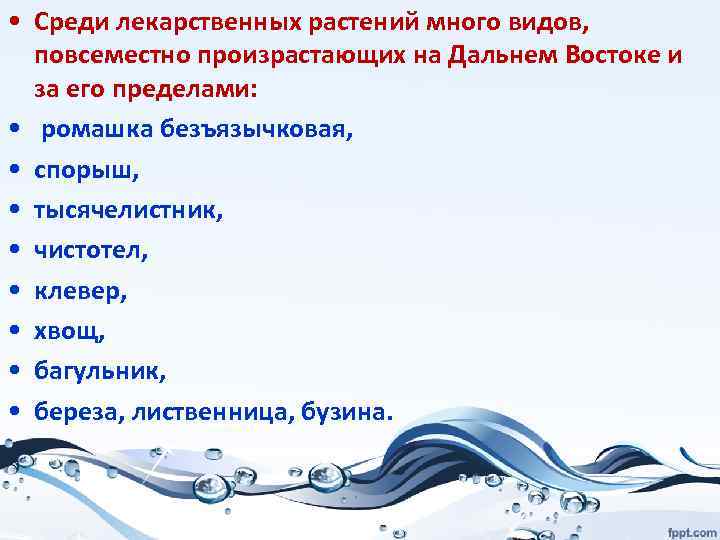  • Среди лекарственных растений много видов, повсеместно произрастающих на Дальнем Востоке и за