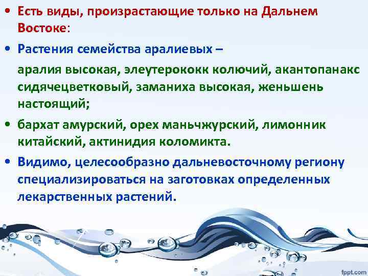  • Есть виды, произрастающие только на Дальнем Востоке: • Растения семейства аралиевых –