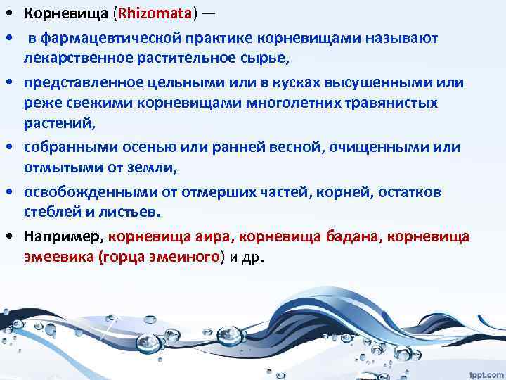  • Корневища (Rhizomata) — • в фармацевтической практике корневищами называют лекарственное растительное сырье,