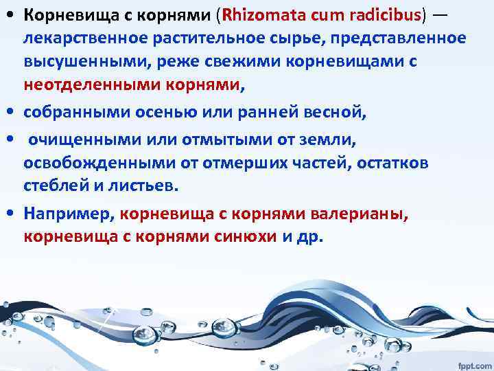  • Корневища с корнями (Rhizomata cum radicibus) — лекарственное растительное сырье, представленное высушенными,