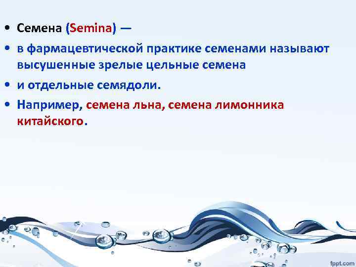  • Семена (Semina) — • в фармацевтической практике семенами называют высушенные зрелые цельные