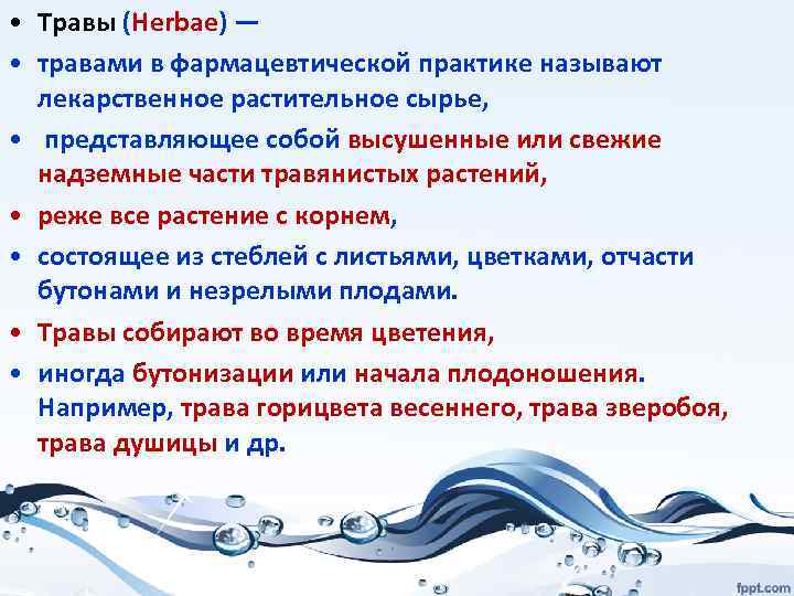  • Травы (Herbae) — • травами в фармацевтической практике называют лекарственное растительное сырье,