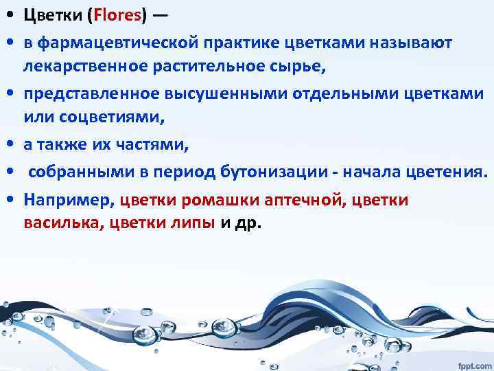  • Цветки (Flores) — • в фармацевтической практике цветками называют лекарственное растительное сырье,