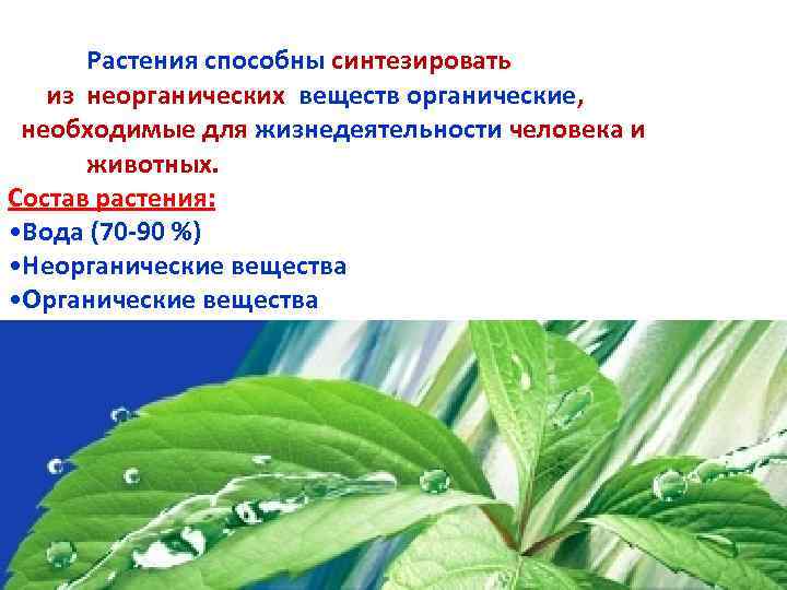 Растения способны синтезировать из неорганических веществ органические, необходимые для жизнедеятельности человека и животных. Состав