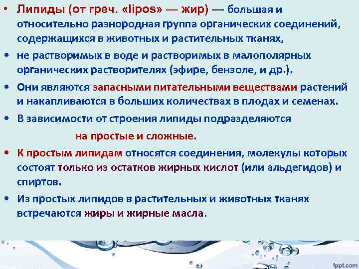  • Липиды (от греч. «lipos» — жир) — большая и относительно разнородная группа