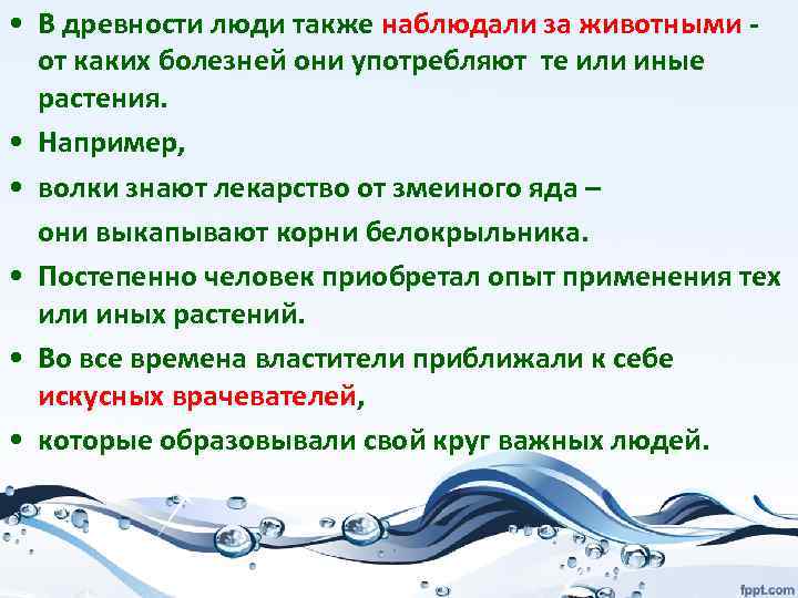  • В древности люди также наблюдали за животными - от каких болезней они