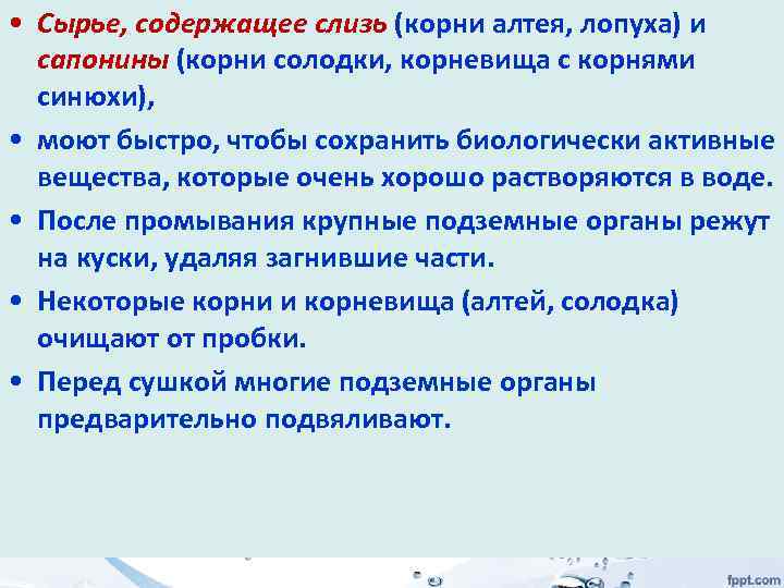  • Сырье, содержащее слизь (корни алтея, лопуха) и сапонины (корни солодки, корневища с