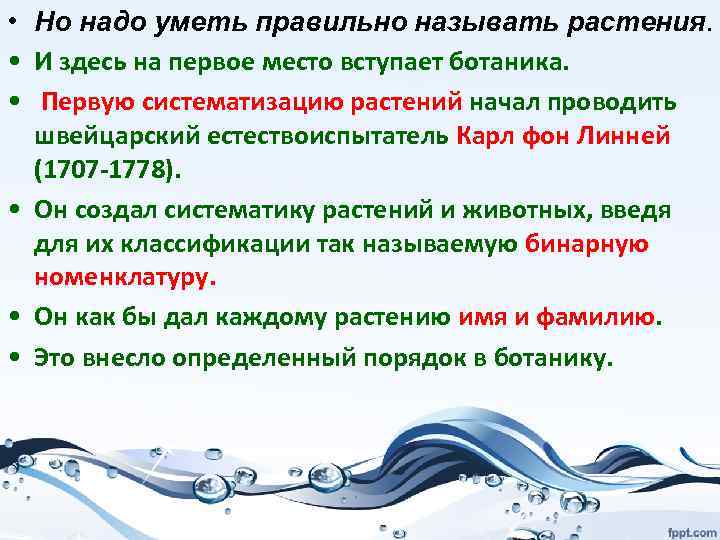  • Но надо уметь правильно называть растения. • И здесь на первое место