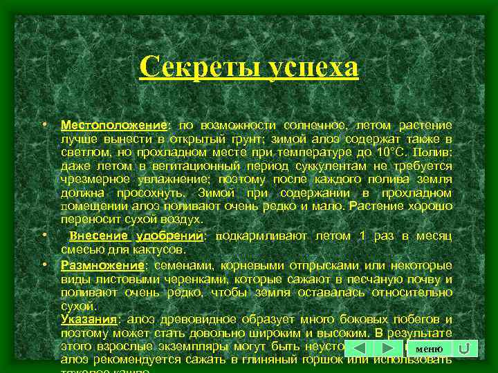 Секреты успеха • Местоположение: по возможности солнечное, летом растение • • лучше вынести в