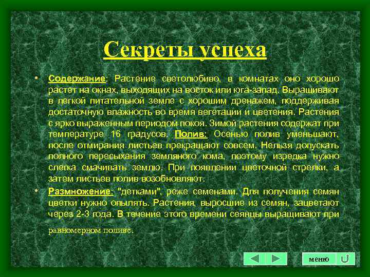 Секреты успеха • Содержание: Растение светолюбиво, в комнатах оно хорошо • растет на окнах,