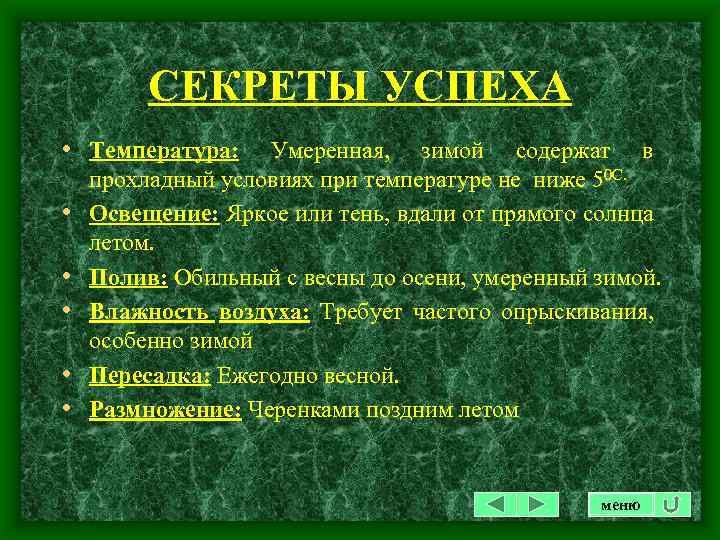СЕКРЕТЫ УСПЕХА • Температура: • • • Умеренная, зимой содержат в прохладный условиях при