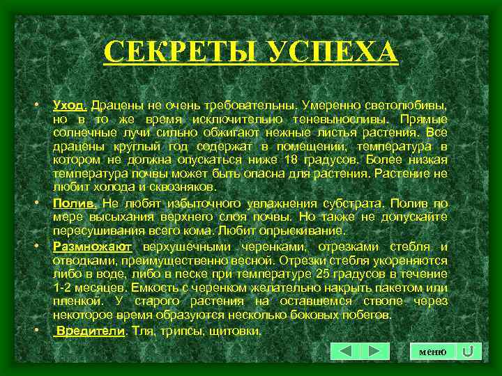 СЕКРЕТЫ УСПЕХА • Уход. Драцены не очень требовательны. Умеренно светолюбивы, • • • но