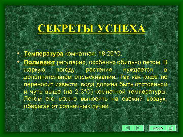 СЕКРЕТЫ УСПЕХА • Температура комнатная: 18 -20°С. • Поливают регулярно, особенно обильно летом. В