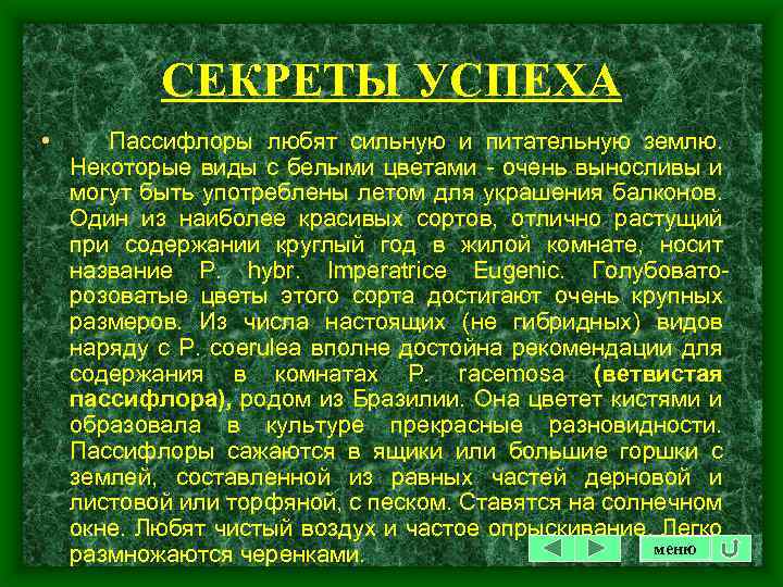 СЕКРЕТЫ УСПЕХА • Пассифлоры любят сильную и питательную землю. Некоторые виды с белыми цветами