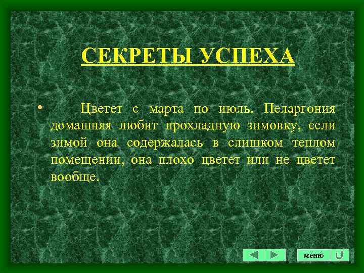 СЕКРЕТЫ УСПЕХА • Цветет с марта по июль. Пеларгония домашняя любит прохладную зимовку, если
