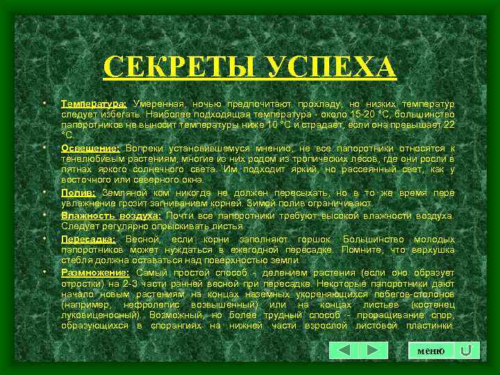 СЕКРЕТЫ УСПЕХА • • • Температура: Умеренная, ночью предпочитают прохладу, но низких температур следует