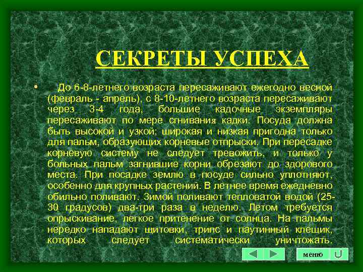 СЕКРЕТЫ УСПЕХА • До 6 -8 -летнего возраста пересаживают ежегодно весной (февраль - апрель),