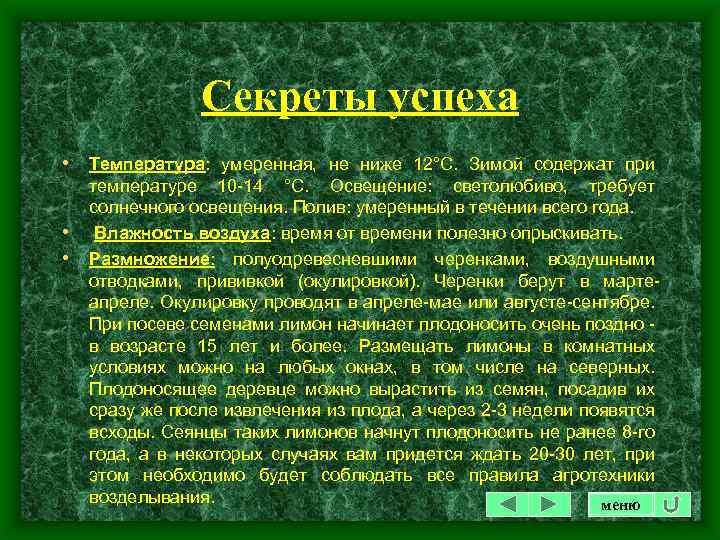Секреты успеха • Температура: умеренная, не ниже 12°С. Зимой содержат при • • температуре