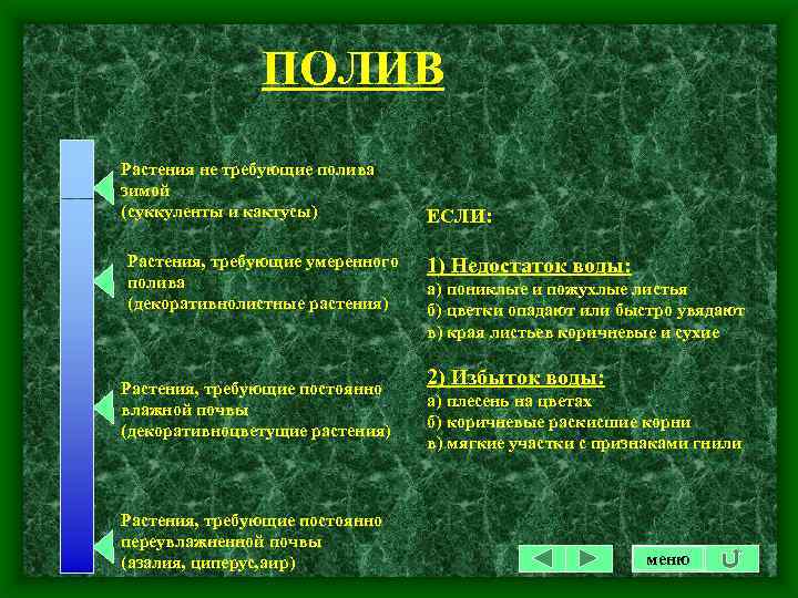 ПОЛИВ Растения не требующие полива зимой (суккуленты и кактусы) Растения, требующие умеренного полива (декоративнолистные