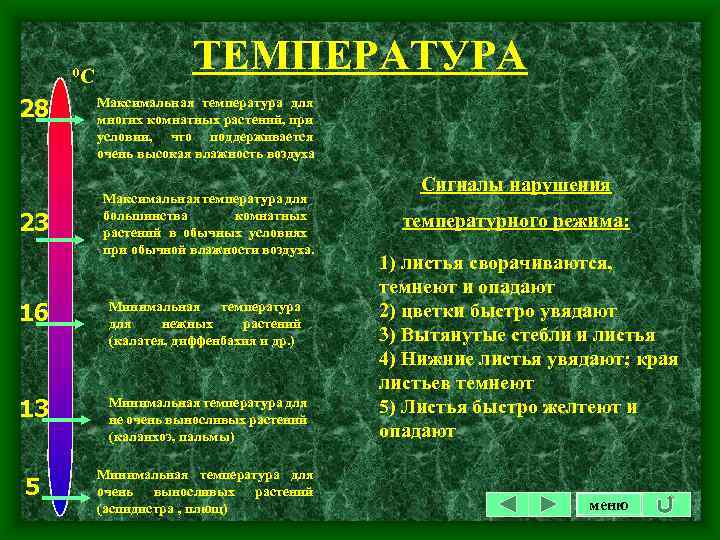 0 С 28 23 ТЕМПЕРАТУРА Максимальная температура для многих комнатных растений, при условии, что