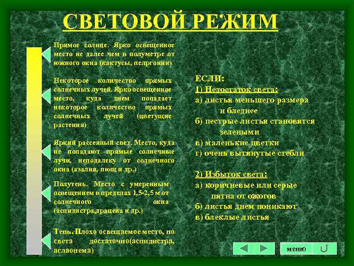 СВЕТОВОЙ РЕЖИМ Прямое солнце. Ярко освещенное место не далее чем в полуметре от южного