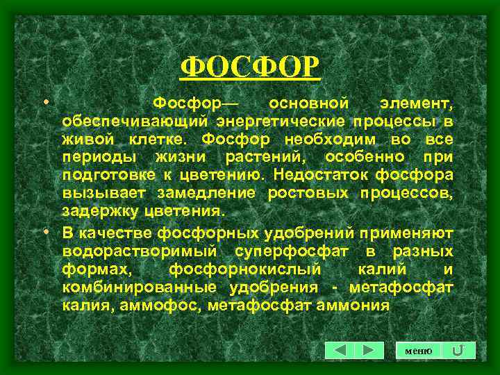 ФОСФОР • Фосфор— основной элемент, обеспечивающий энергетические процессы в живой клетке. Фосфор необходим во