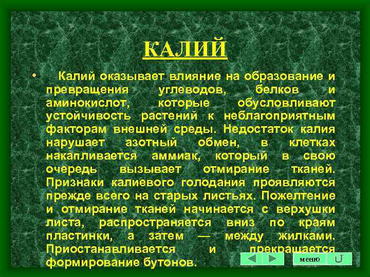 КАЛИЙ • Калий оказывает влияние на образование и превращения углеводов, белков и аминокислот, которые